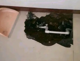 南陵卫生间测漏水多少钱